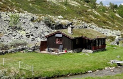 Травяные крыши - они заполонили всю Норвегию!