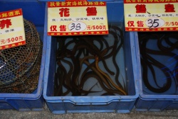 6 долларов за пол-кило морских змей.