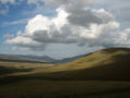 ���� WindowsXP (43841 b)