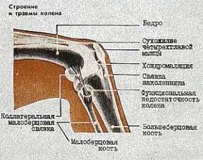народные средства артрита сустава