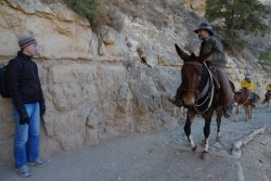 Экскурсии на лошадях и ослах